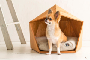 スクリーンショット 2016-06-06 4.57.45 PM